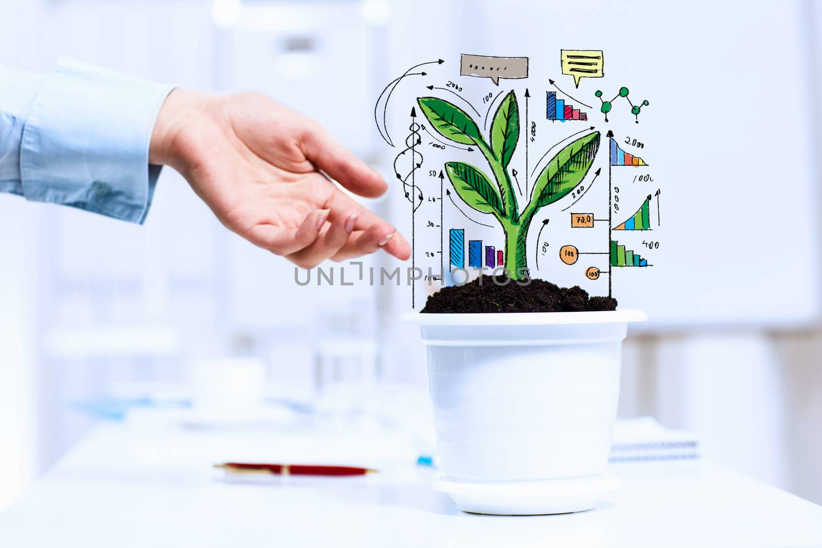 Close-up image of human hand and pot with money tree