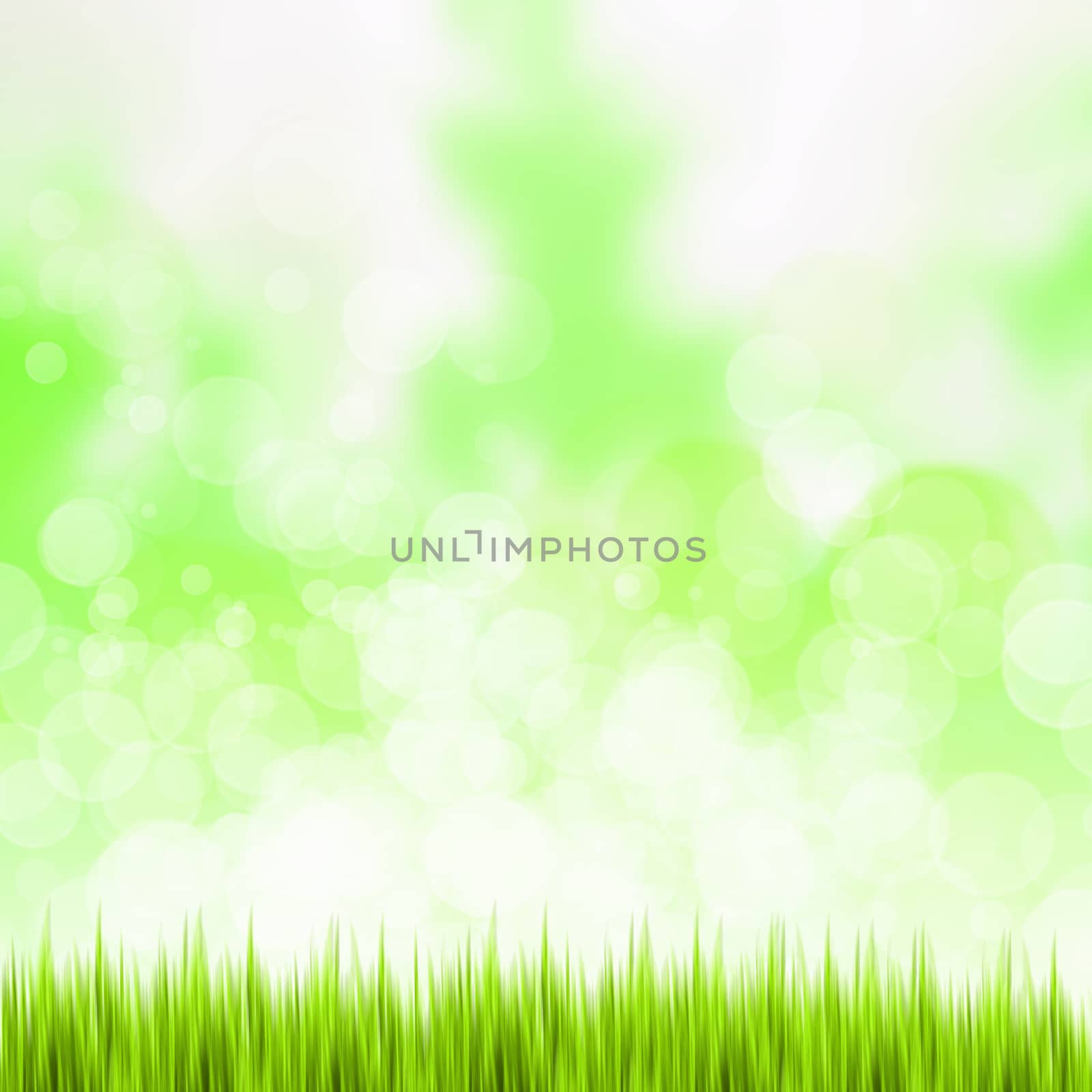 Green summer meadow with sun glare and rays