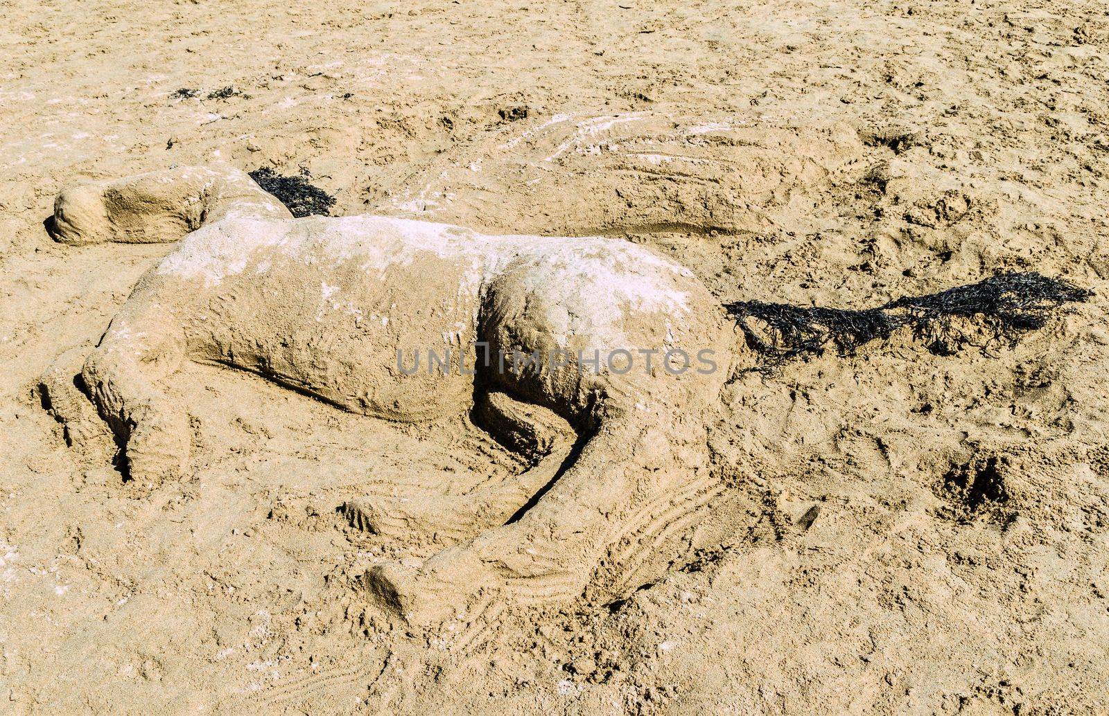 Sand art horse
