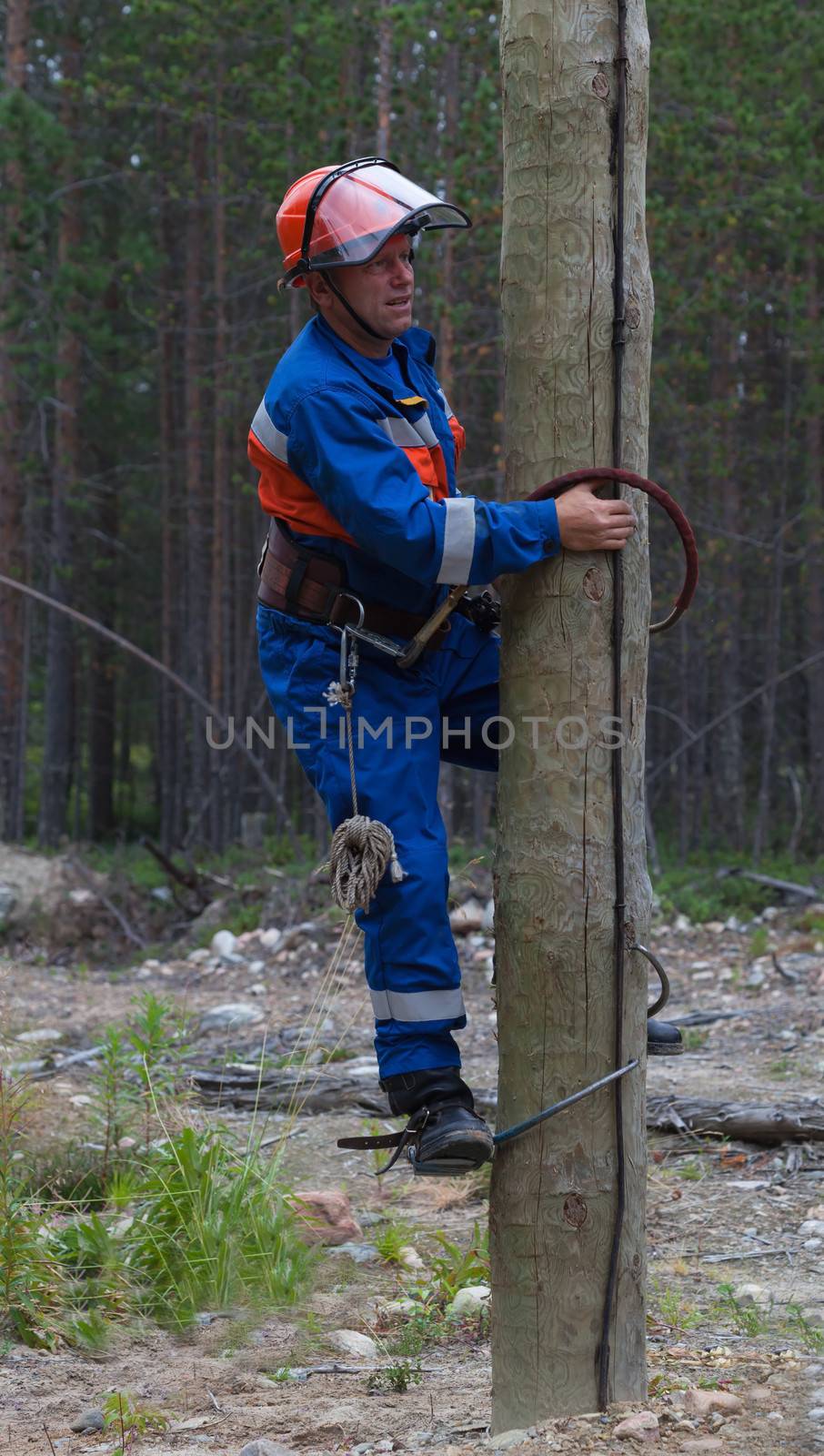 Electrician begins to climb on a power pole with a claw-pomoshyu manholes and safety belt
