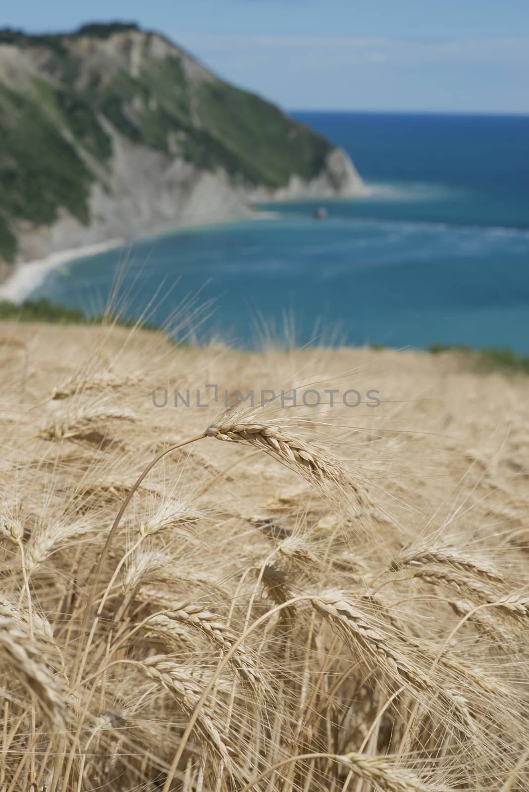 The bay of Portonovo in the Conero Riviera, Italy