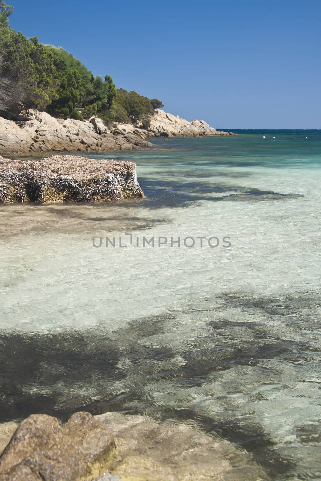 The wonderful colors of the sea in cala granu, a bay near Porto Cervo in Costa Smeralda