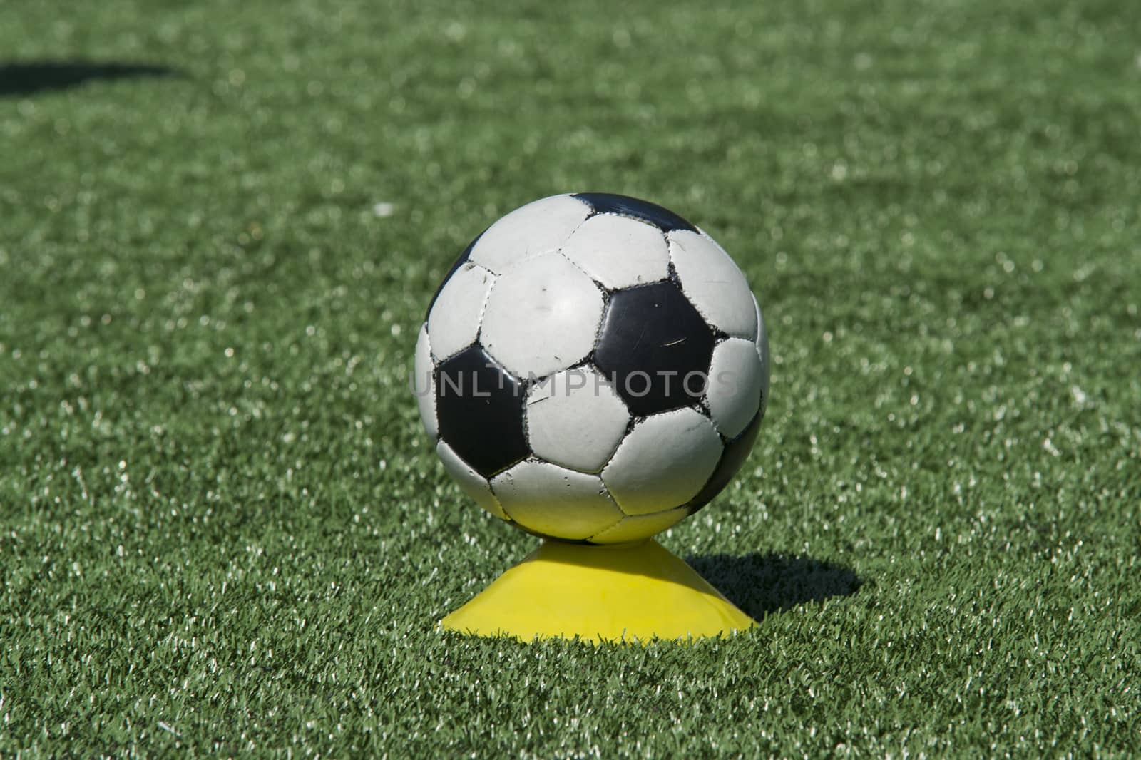 Soccer balls on a meadow