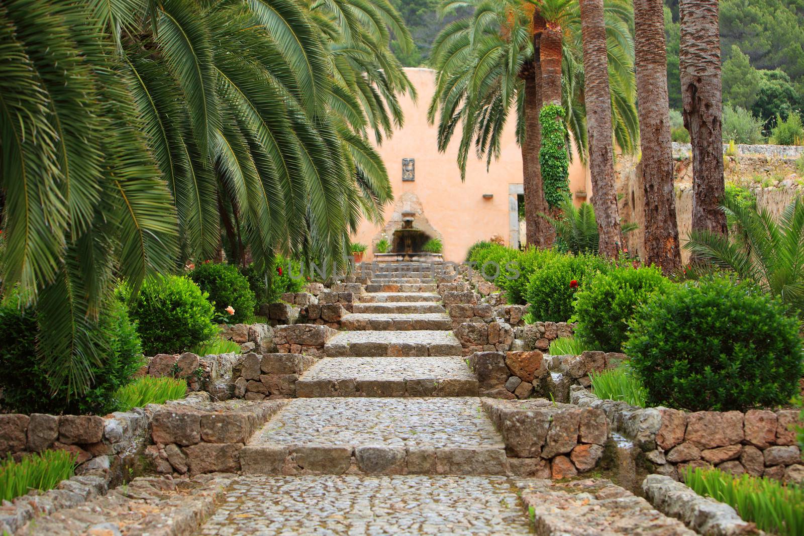 Straight garden walkway with cobblestones and gentle steps leading between two rows of palm trees to a wall with a small fountain
