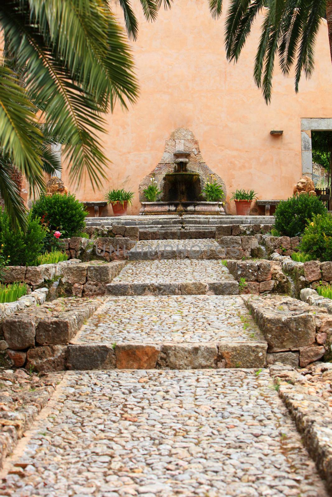 Cobbled walkway leading between tropical palm trees to a garden fountain in a high wall