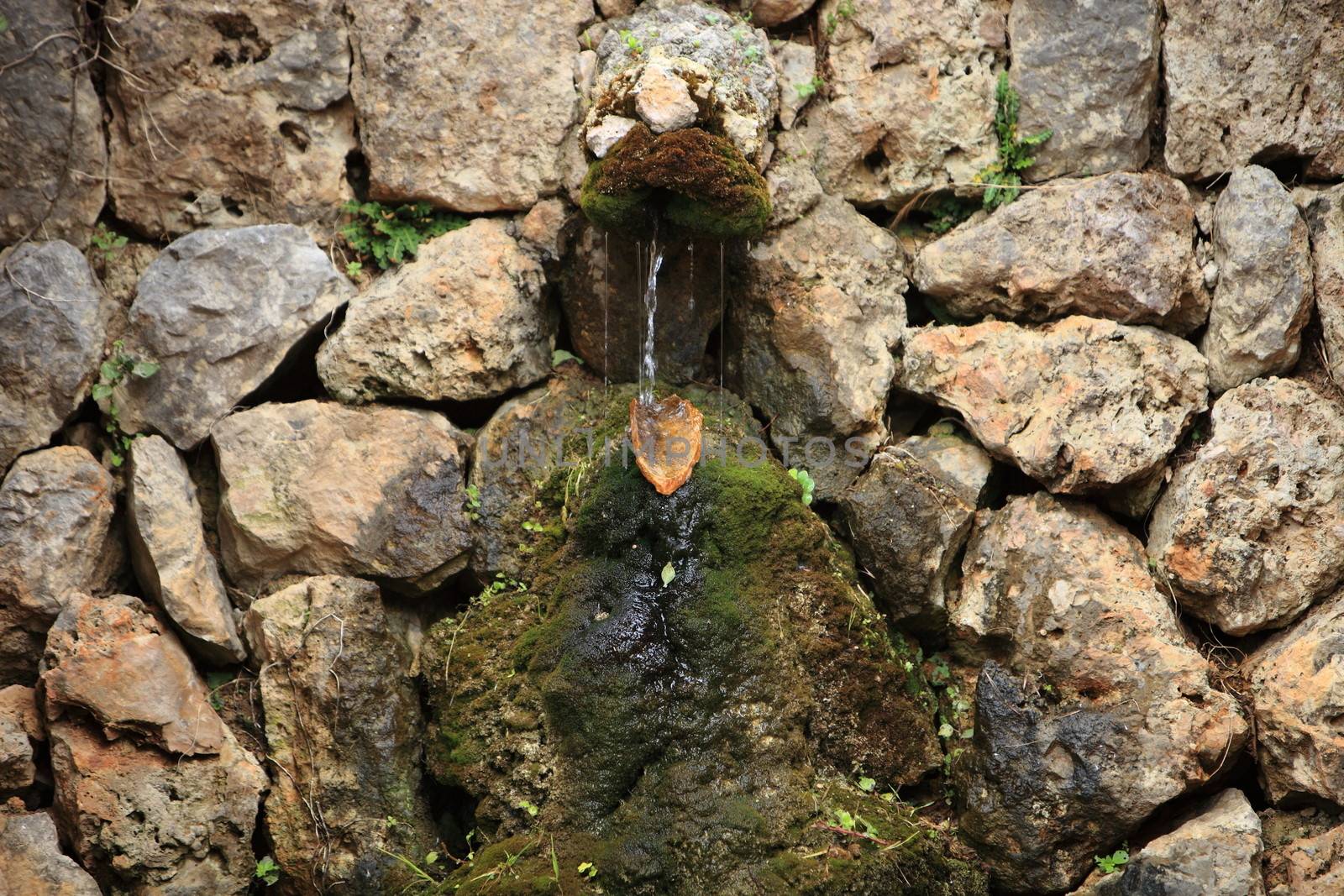 Small fountain in a rock wall with water flowing over the rocky surface covered in green moss