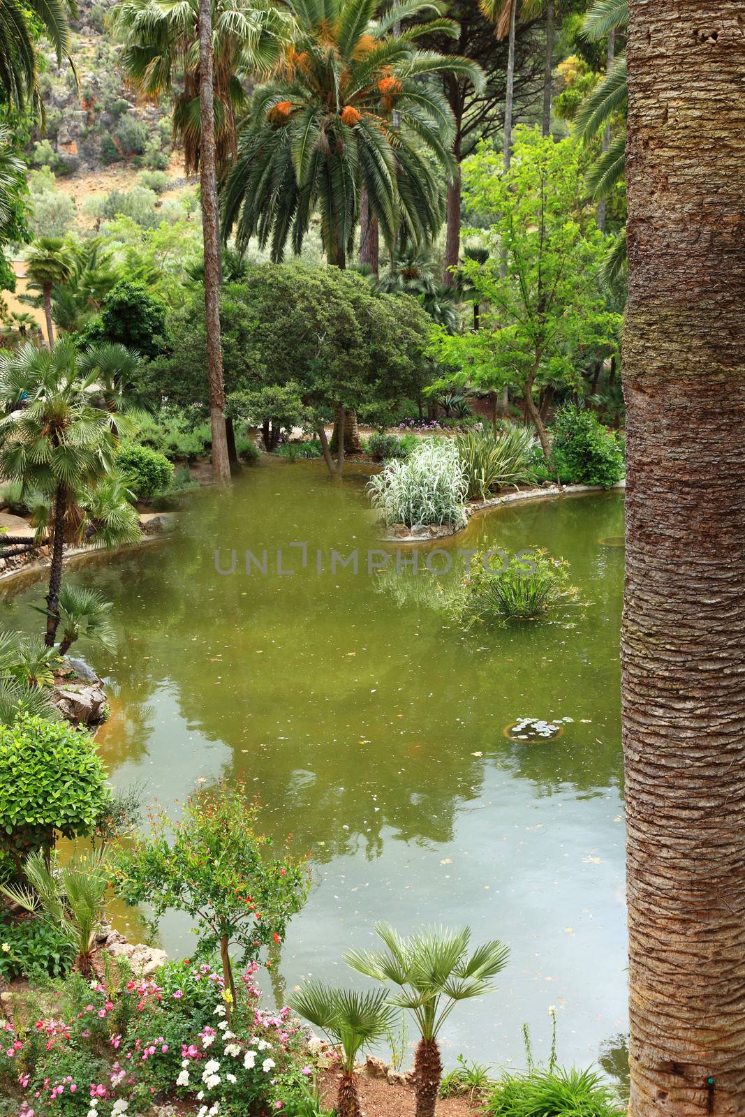 Tranquil pool in a landscaped garden by Farina6000