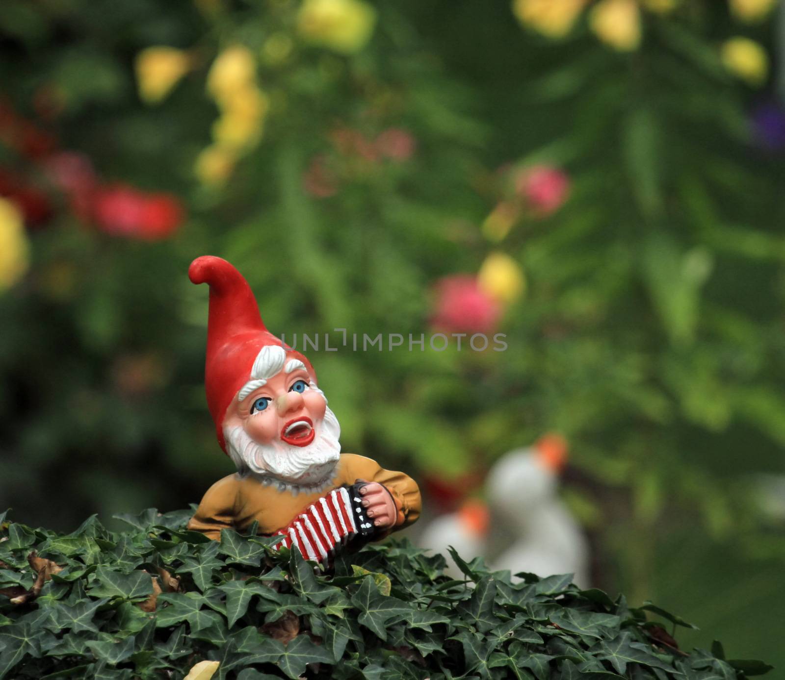 Small typical garden dwarf or gnome and american flag on a bush
