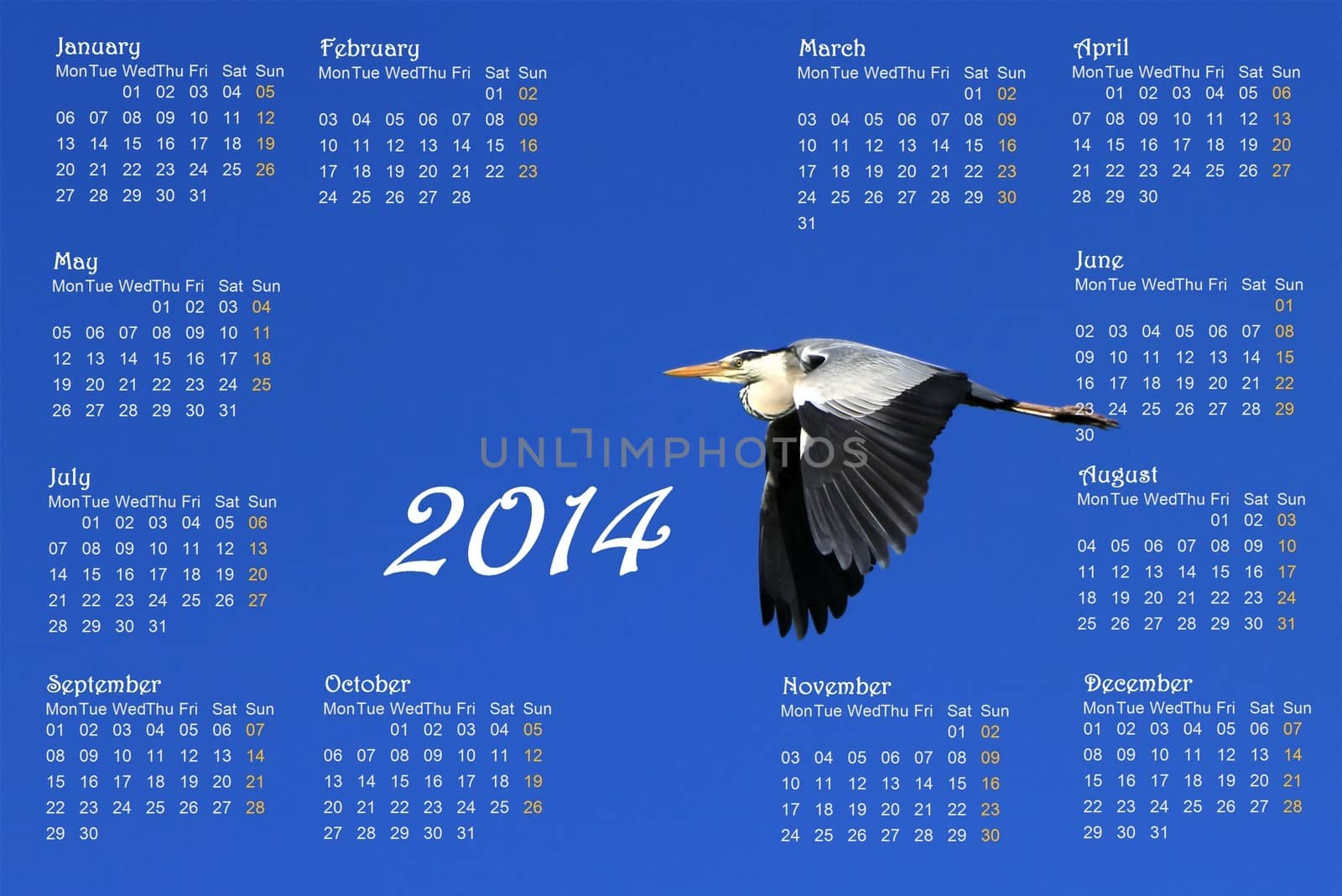 2014 english calendar with great heron flying across a deep blue sky by sunrise