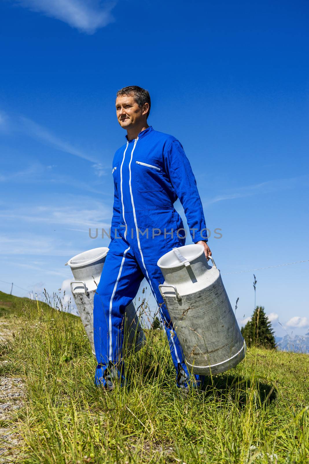 Herdsman standing in front of cattle in farm