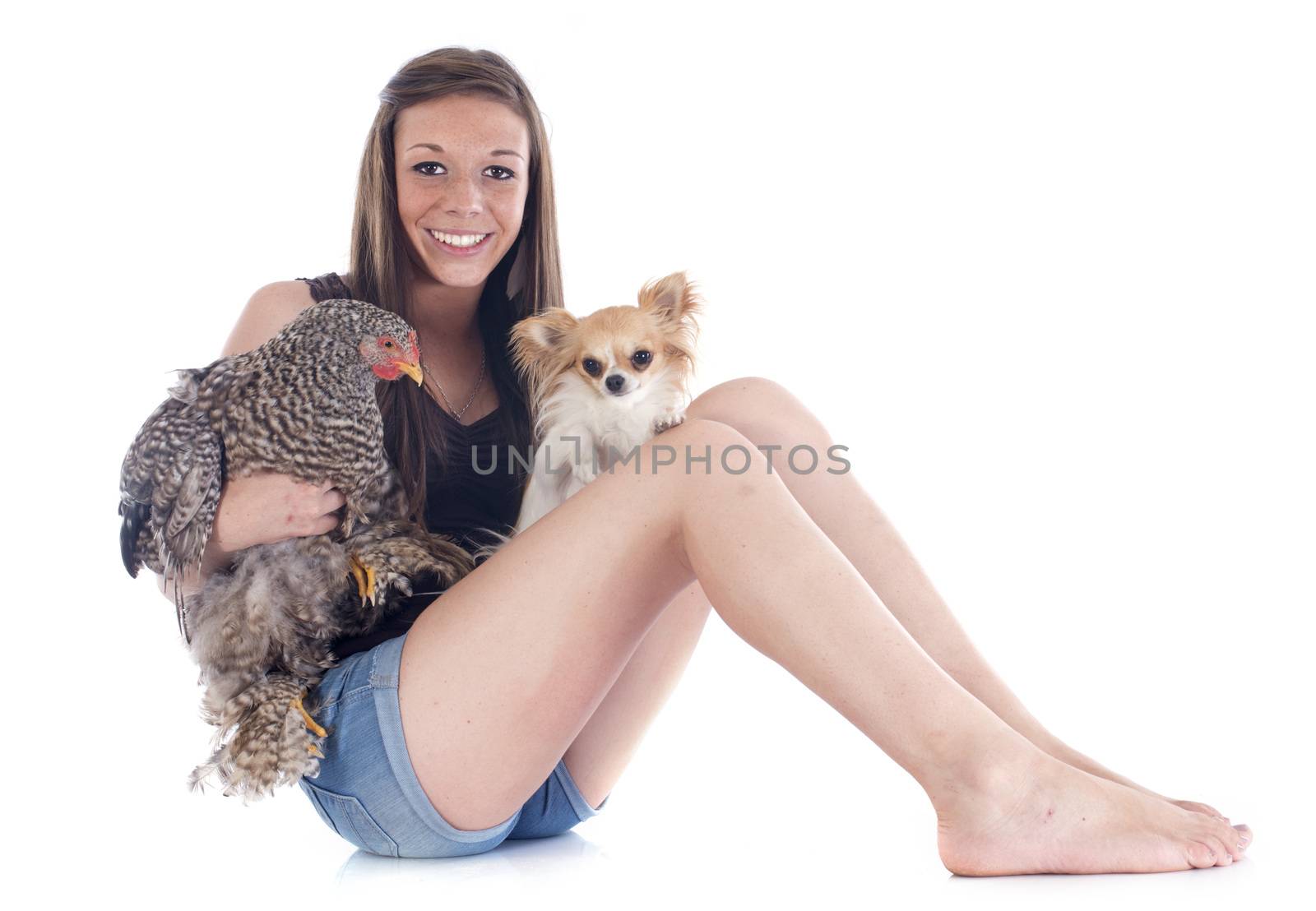 girl, chihuahua and chicken by cynoclub