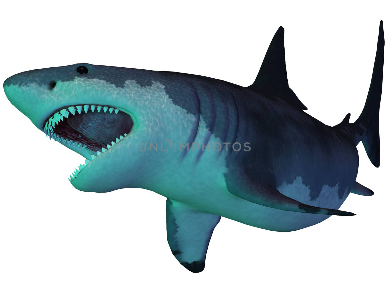 Megalodon Shark Underwater by Catmando