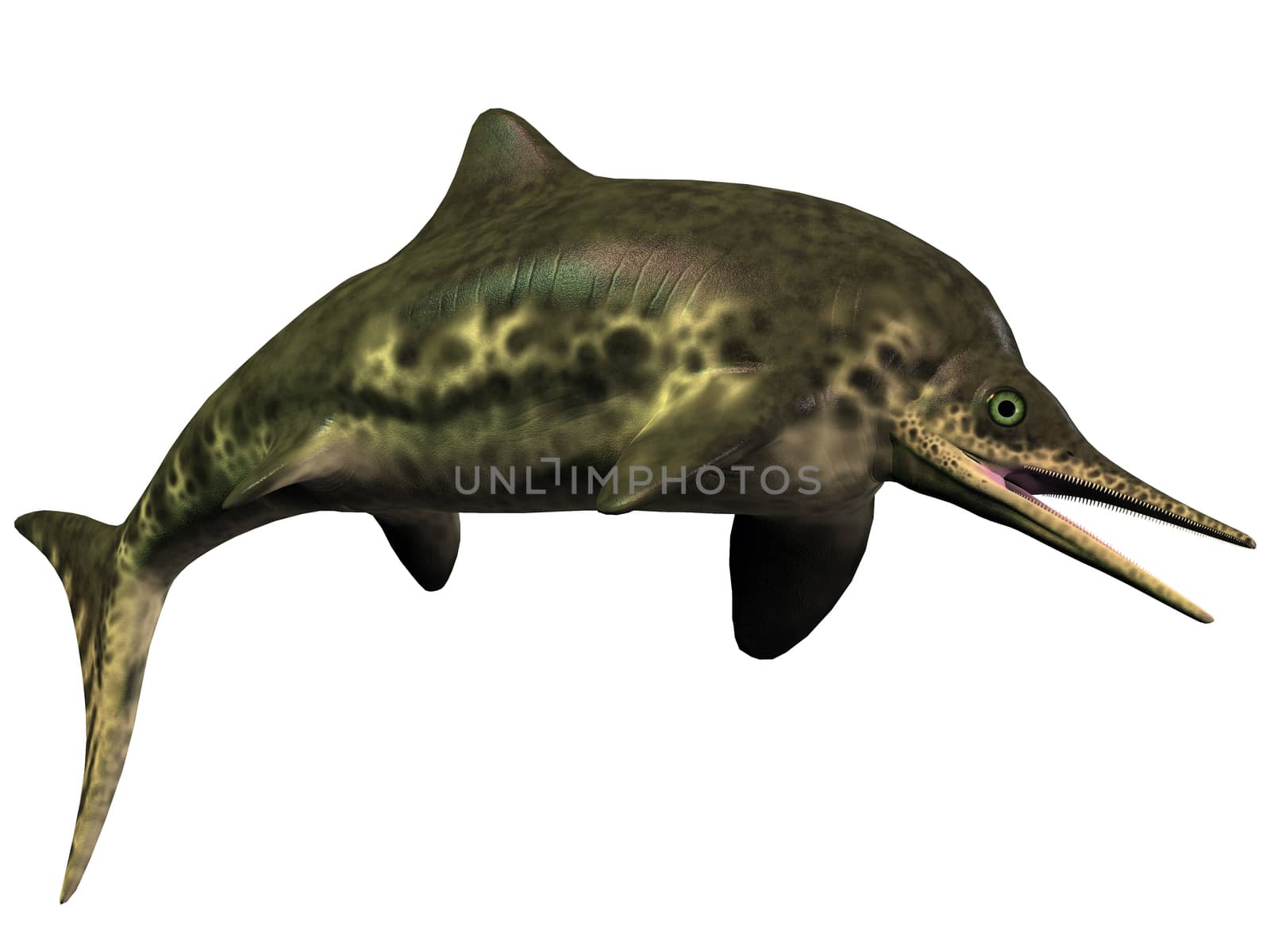 Stenopterygius Icthyosaur on White by Catmando