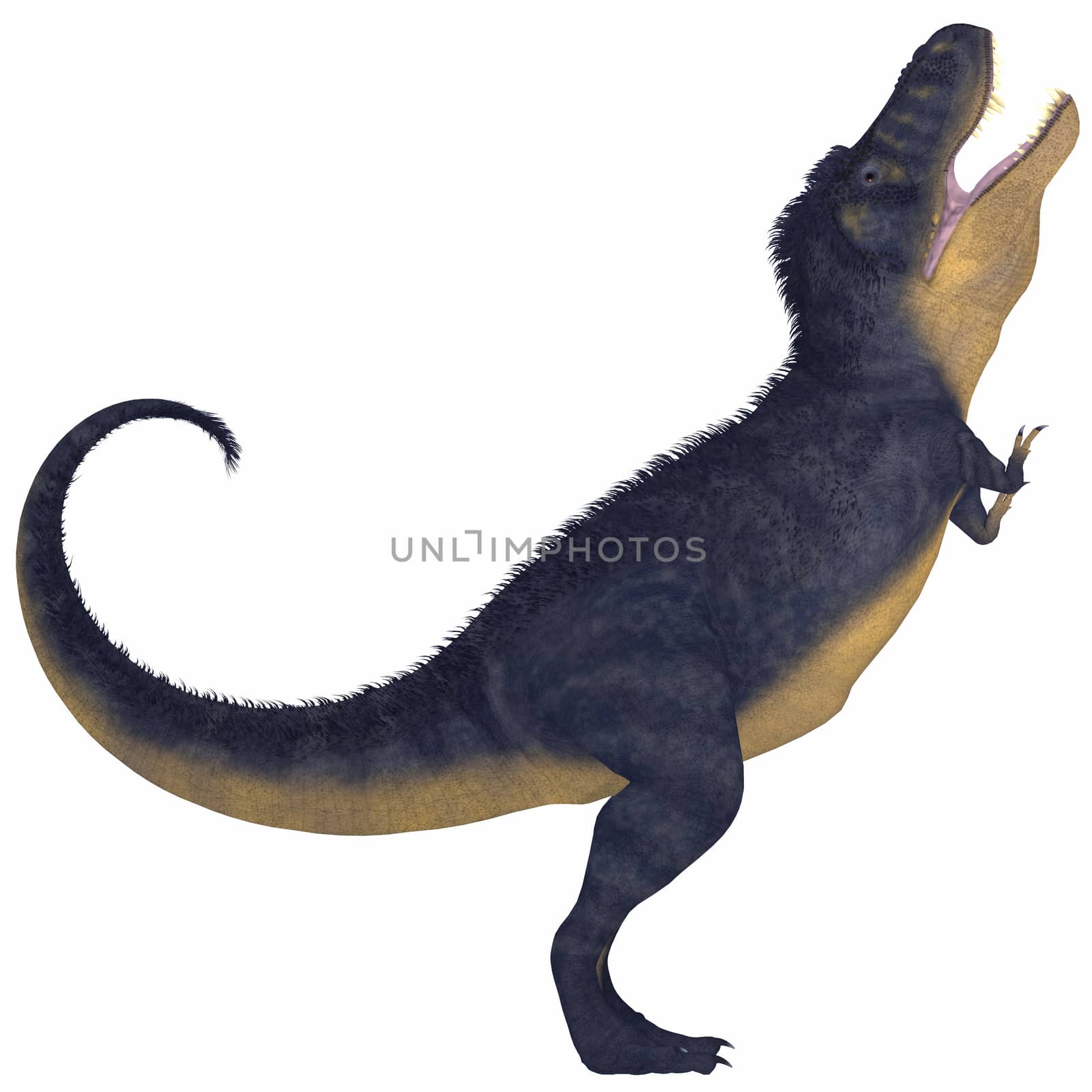 Tyrannosaurus Rex lived in North America in the Cretaceous Period and was an intimidating predator.