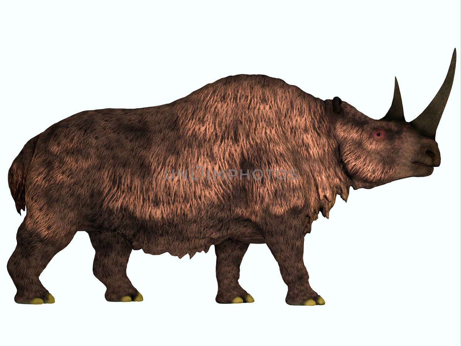 Woolly Rhino on White by Catmando