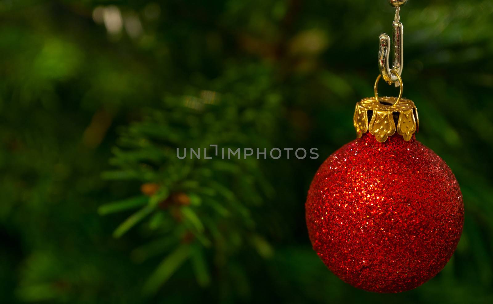 Christmas Background - Red Christmas Bauble on Christmas Tree
