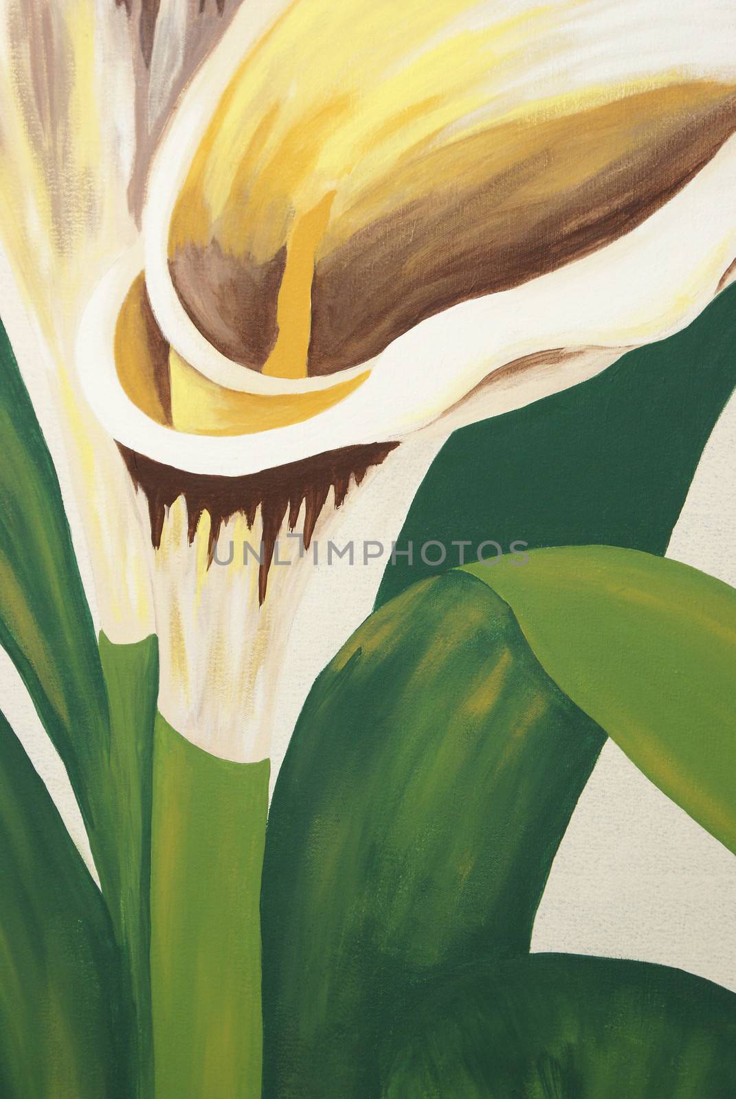 A painting of calla lilies on a canvas. Property Release on file.