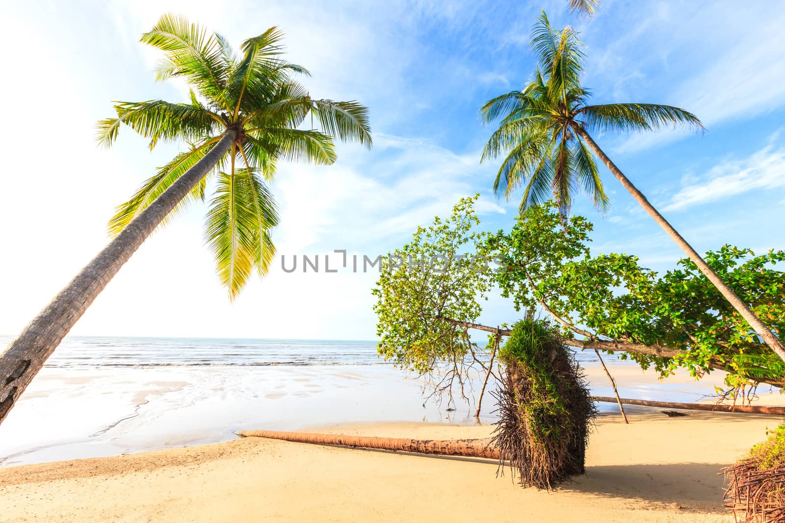 Bangsak beach in blue sky and palm trees at Phangnga, Thailand.