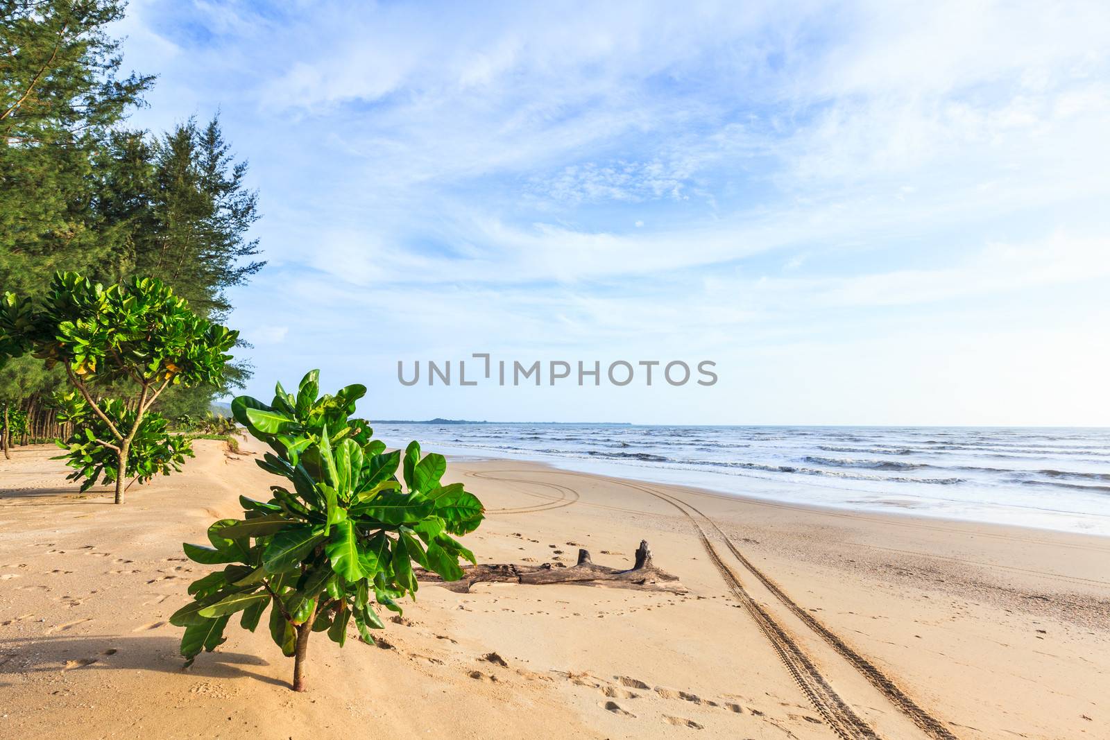 Tracks on the golden sand  by jame_j@homail.com