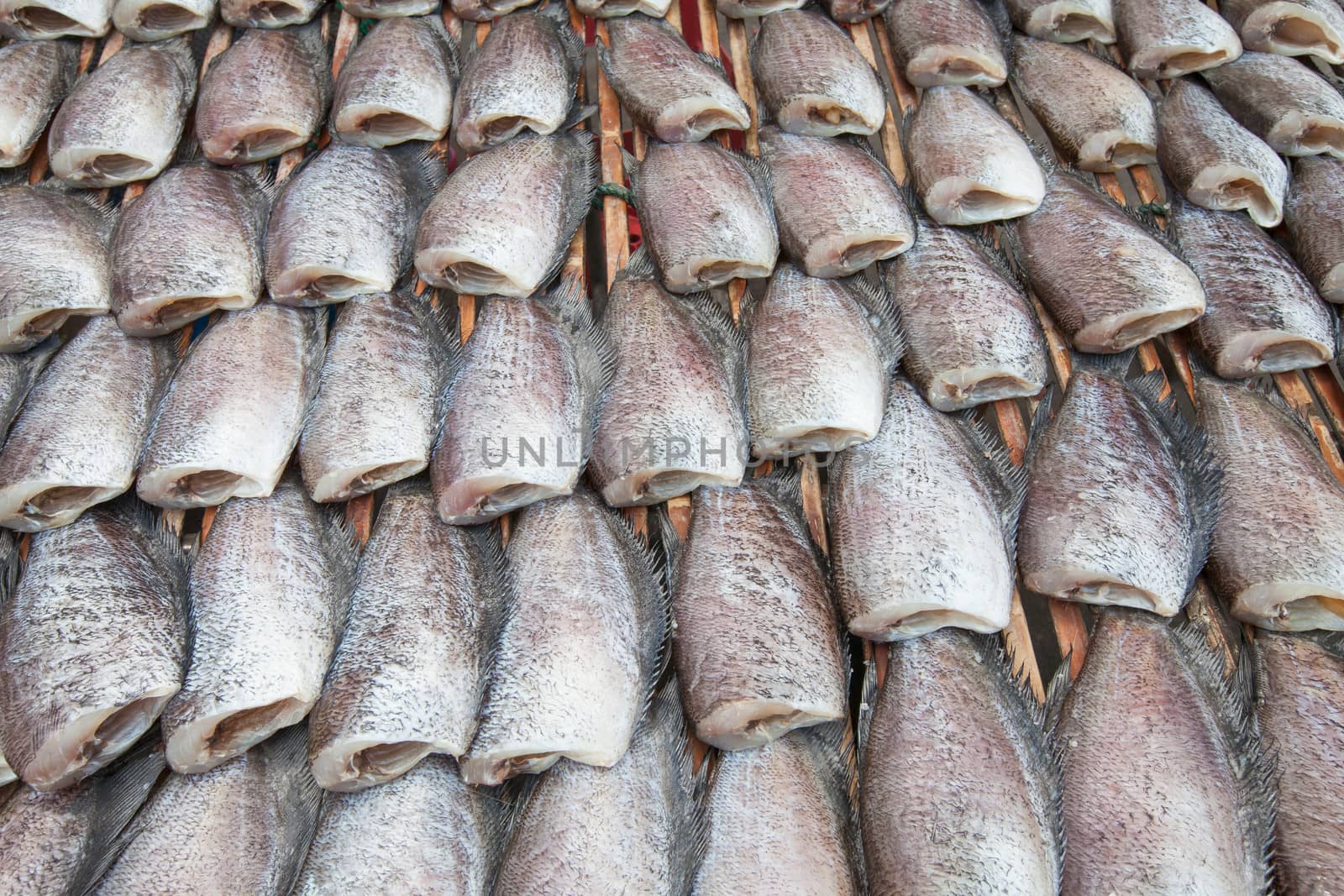 Dry Gourami fish, in a circle on bamboo plate