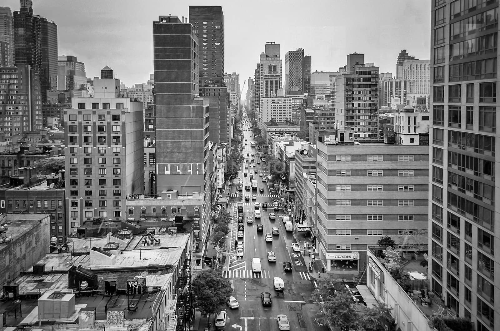 1st Avenue, Manhattan by marcorubino