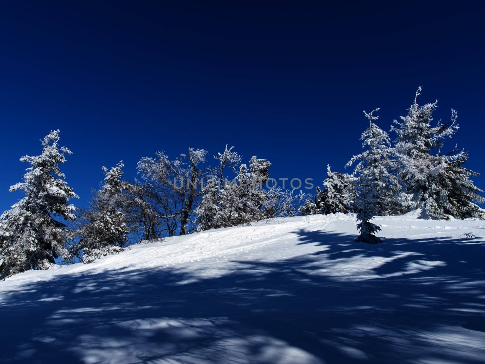 Beautiful winter climates by rzoze19