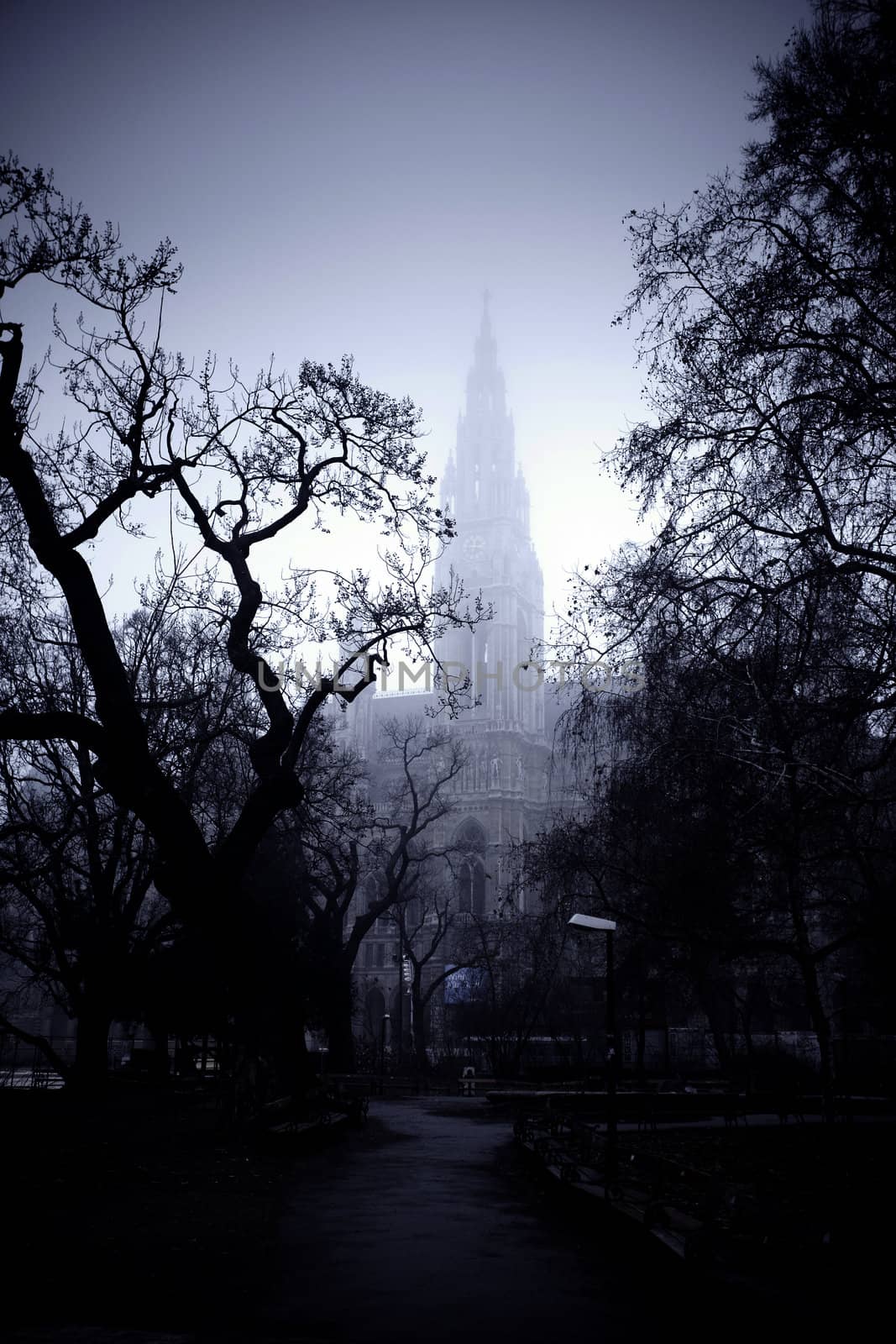 Tree in front of the city hall building of Vienna, Austria