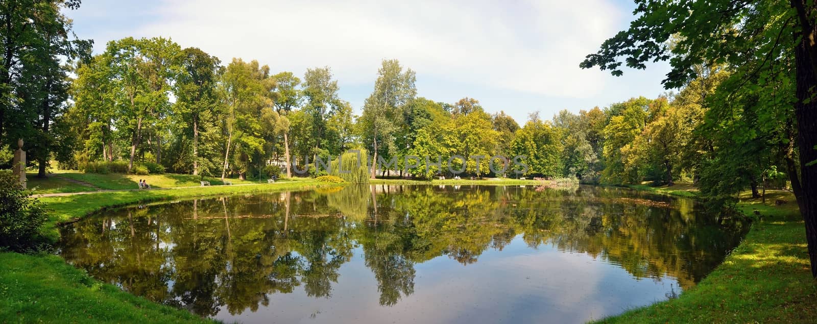 Lake in summer time by Vectorex