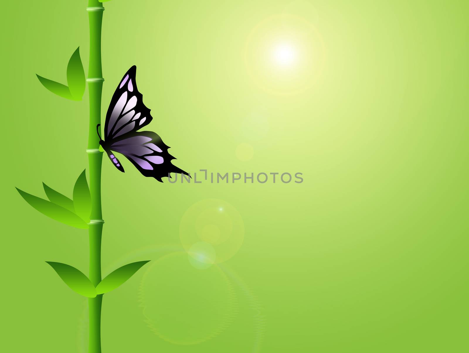 Butterfly on bamboo