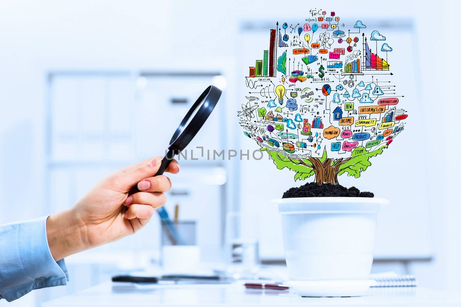 Close-up image of human hand and pot with money tree