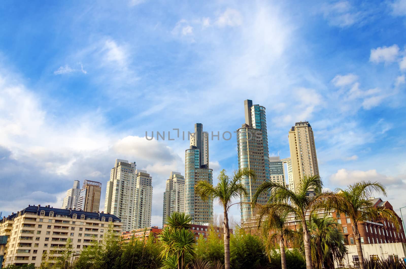 Skyscrapers of Puerto Madero in Buenos Aires, Argentina with palm trees in the foreground