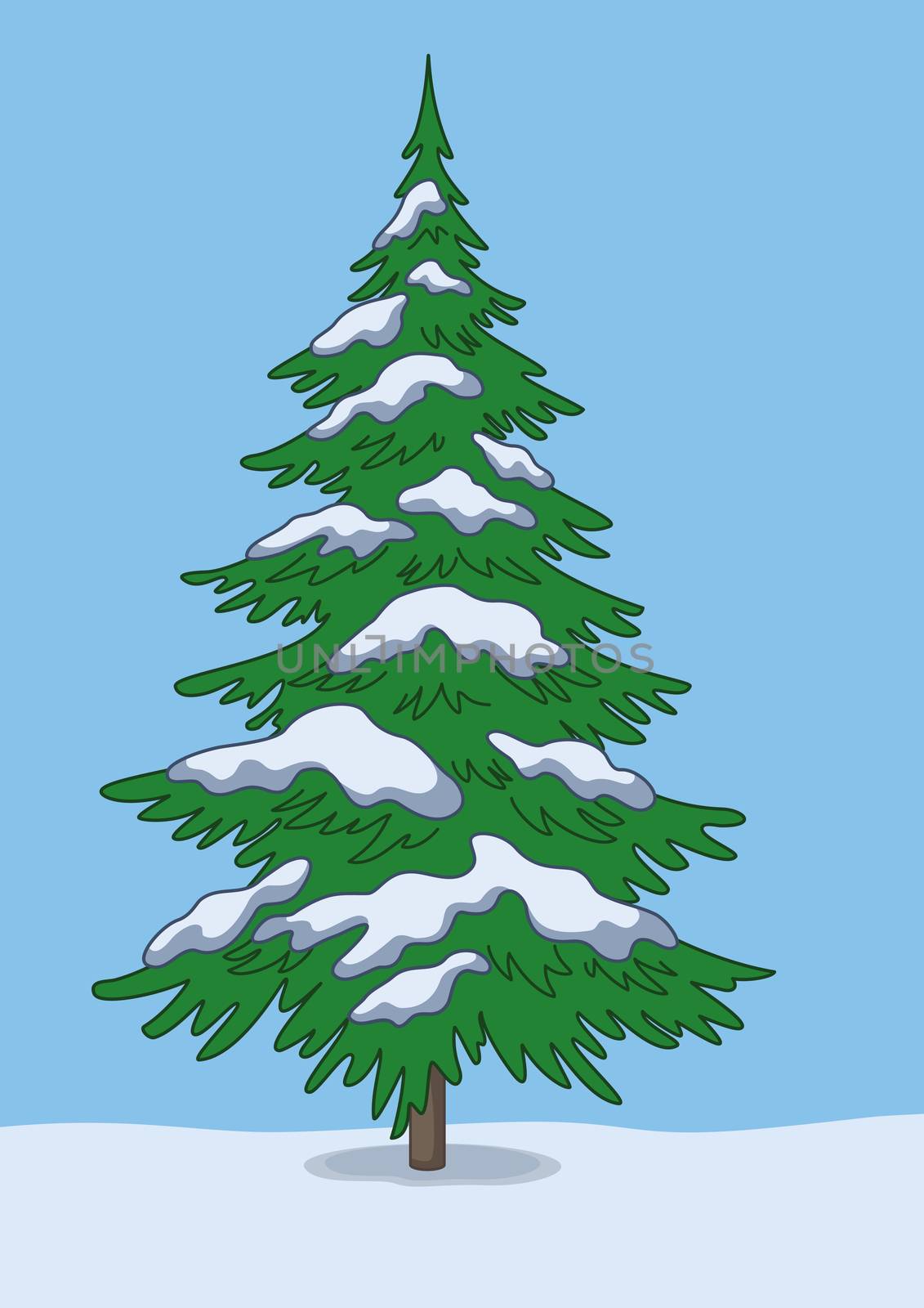 Christmas green tree, snow and blue sky.