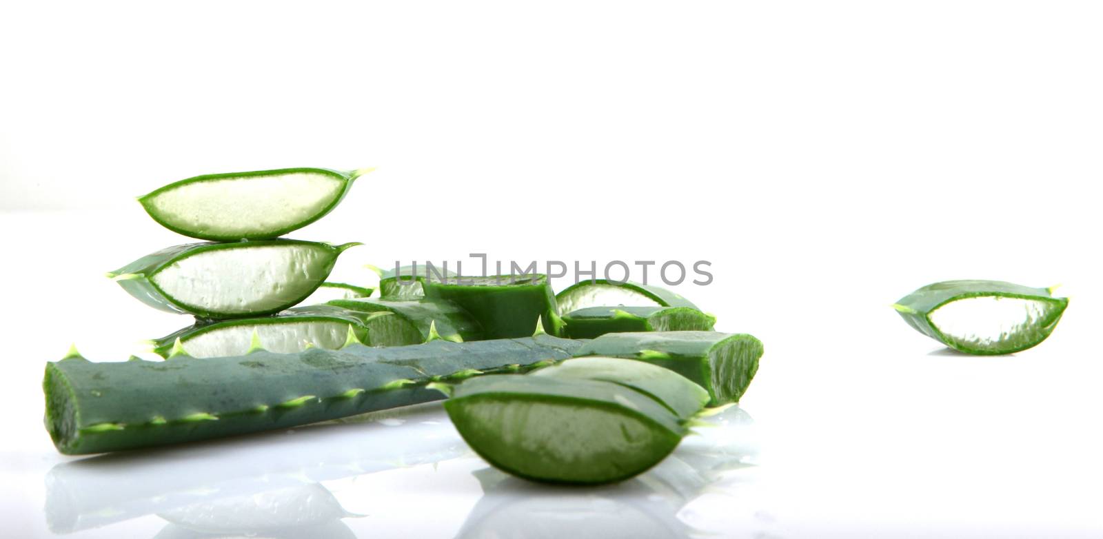 Aloe vera plant isolated on white