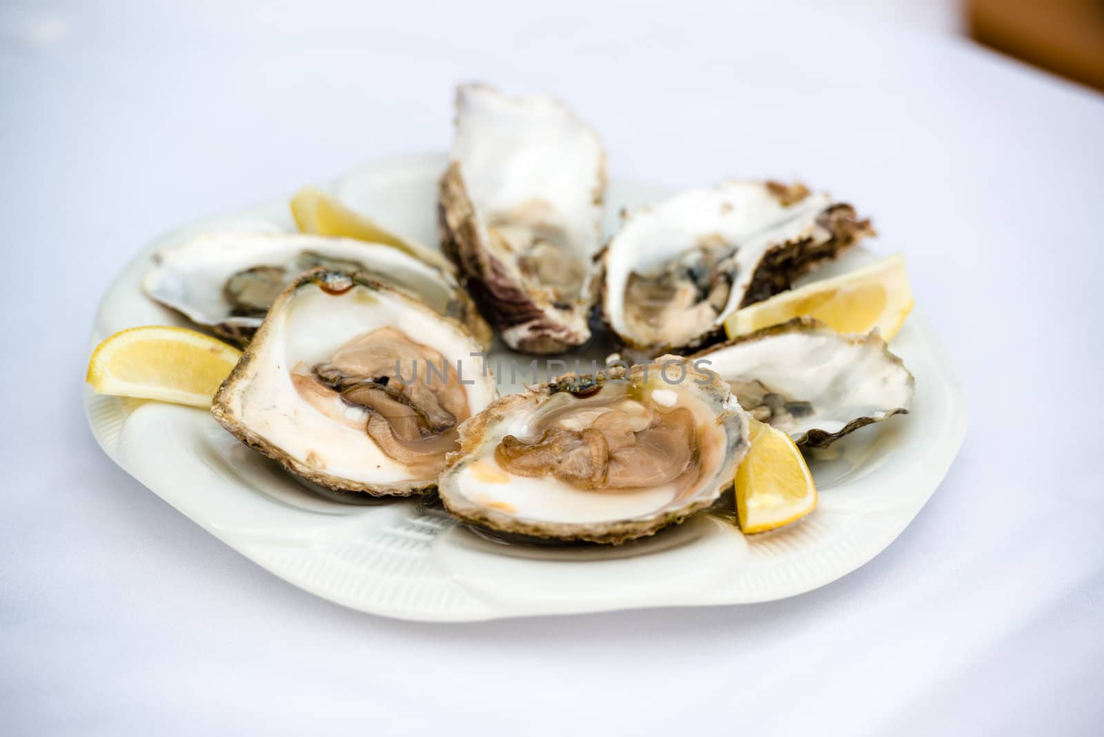 Half a dozen oysters and lemon on a white plate on white tablecloth