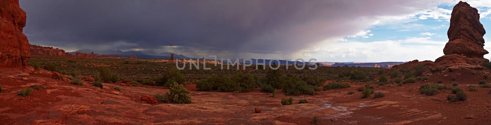 Desert after the Storm panorama by LoonChild