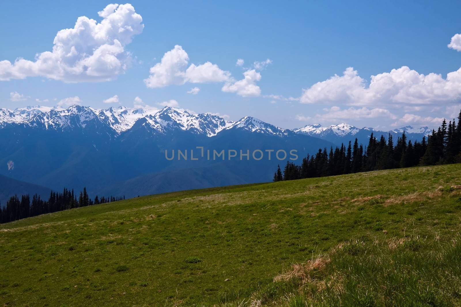 Mountain Landscape; Hurricane Ridge, Olympic National Park, Washington, USA