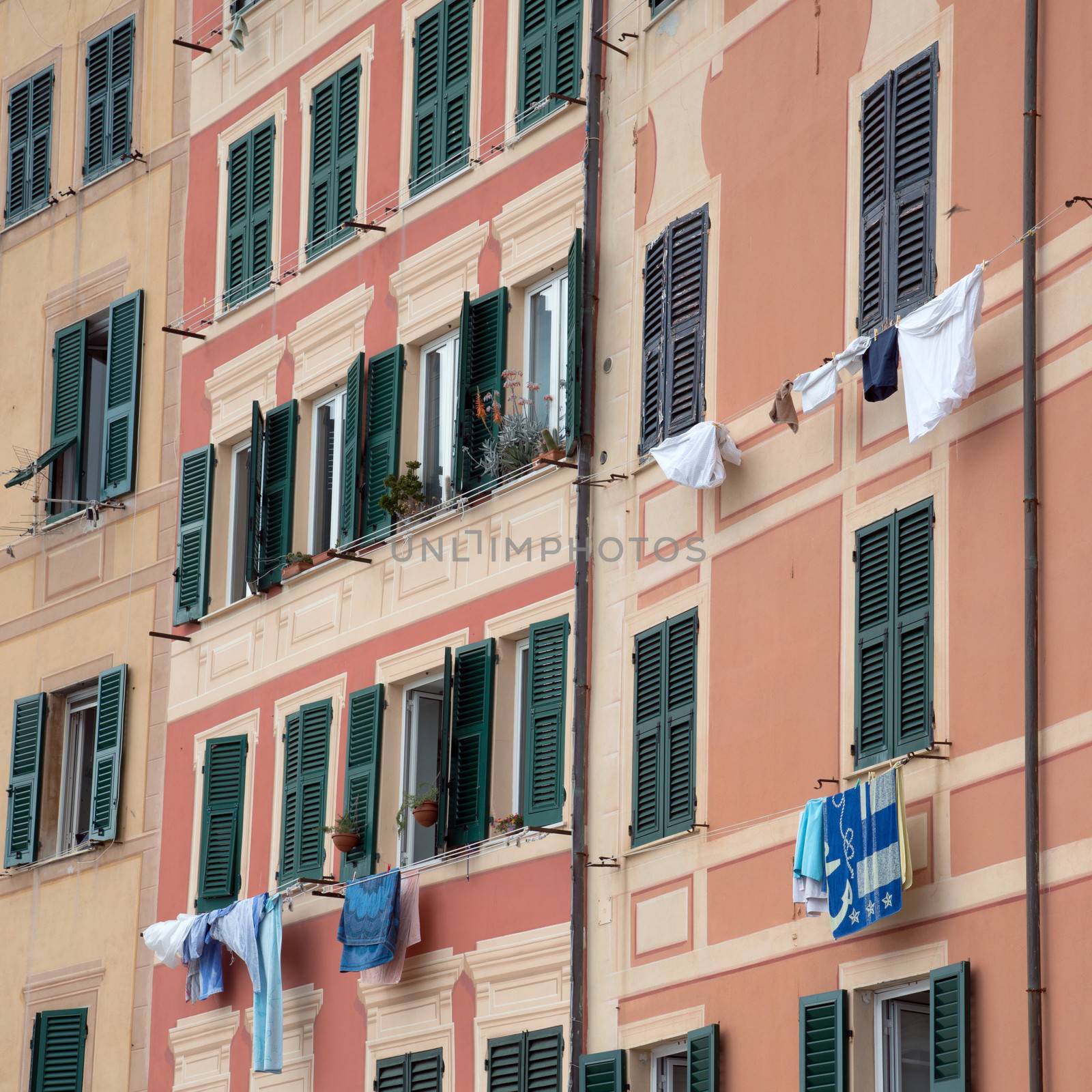 windows of Camogli in June