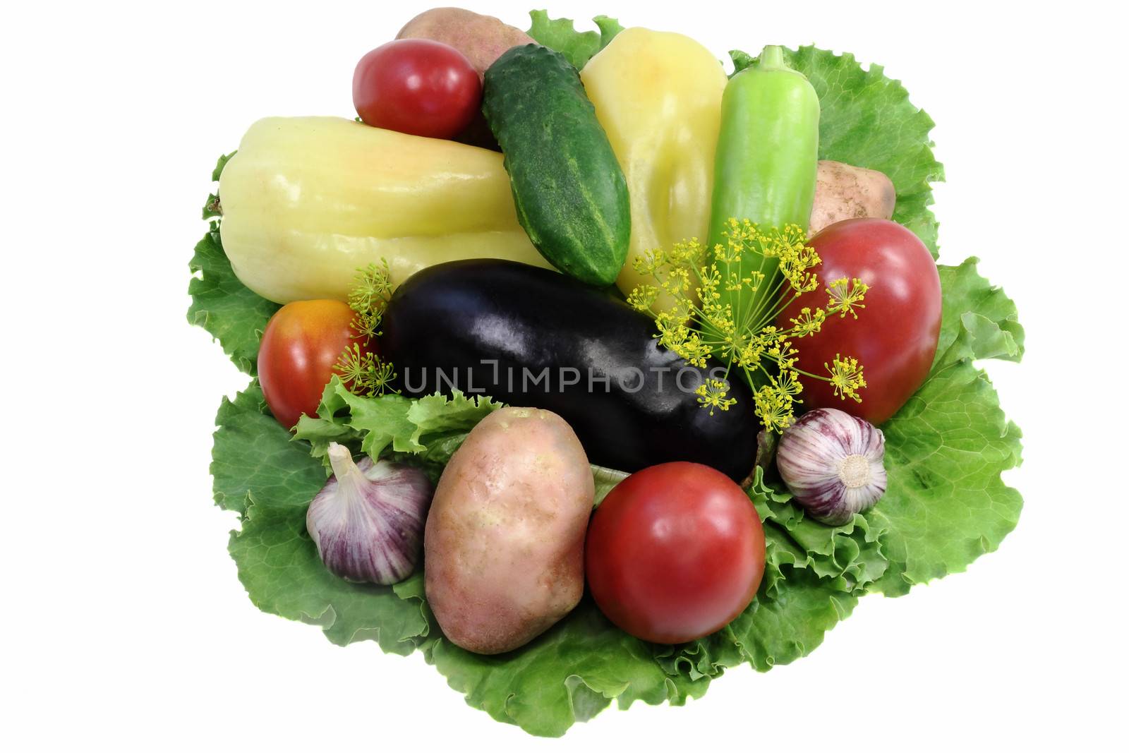 A variety of vegetables and salad. Presented on a white backgrou by georgina198