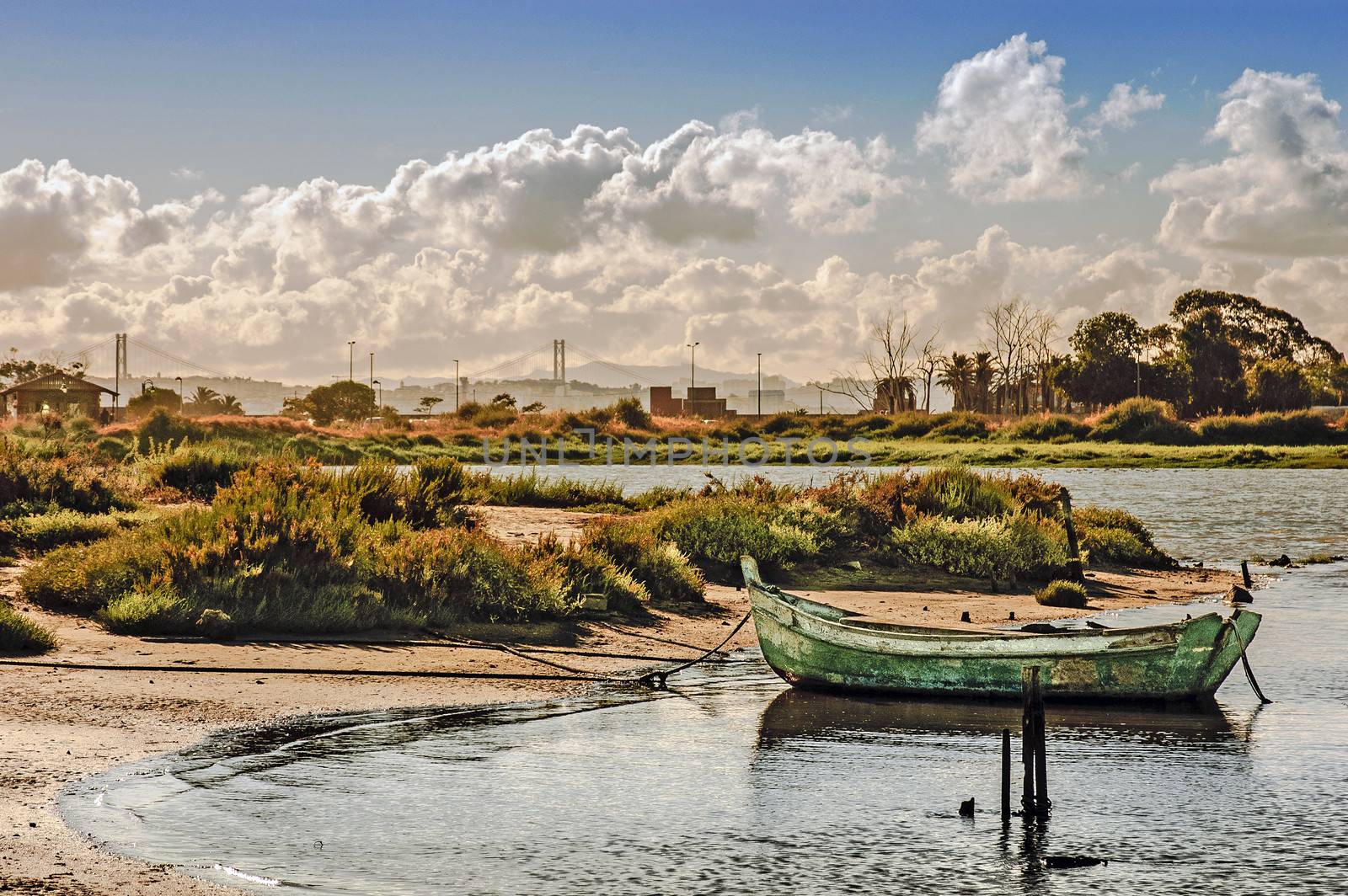 Banks of the Tagus river. by Carpeira