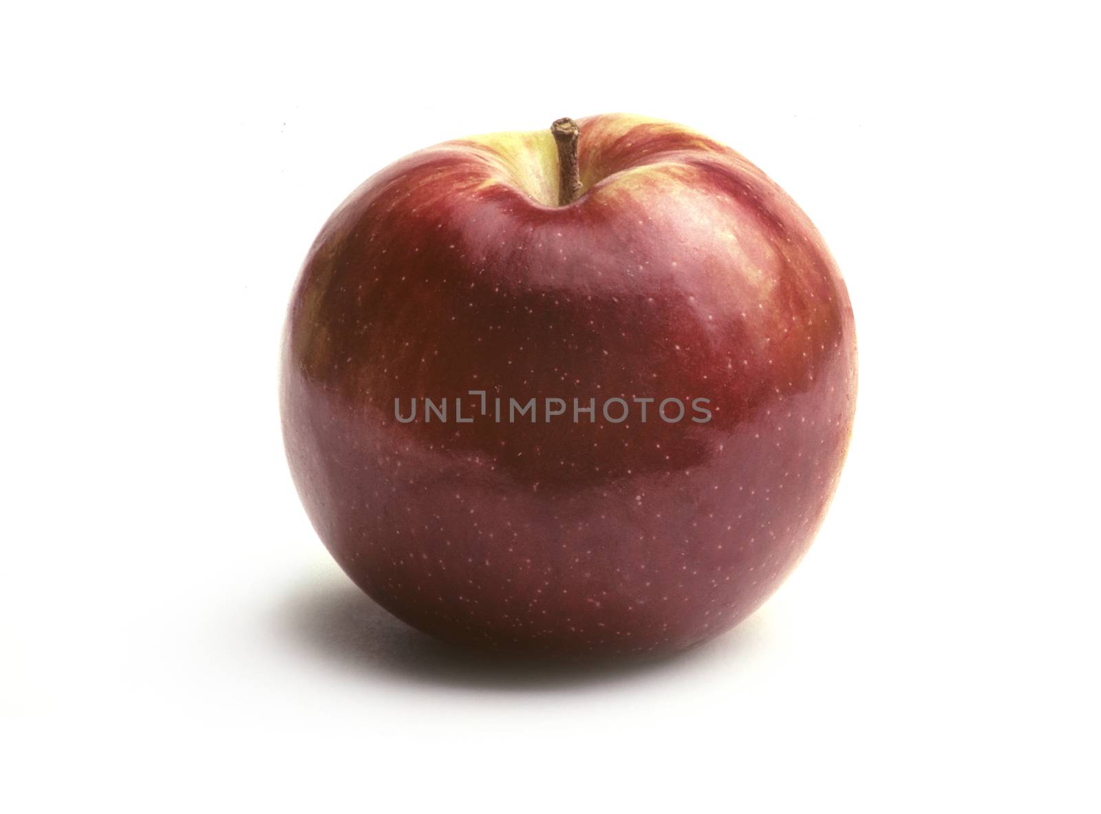 Single MacIntosh Apple on White by Balefire9