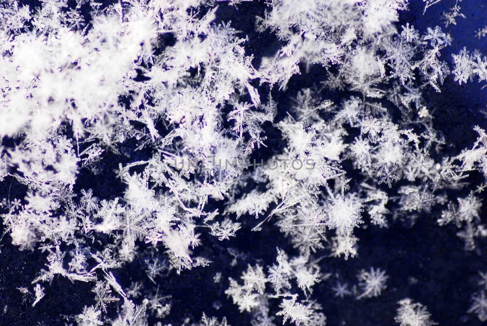 natural snowflakes on dark background abstract closeup