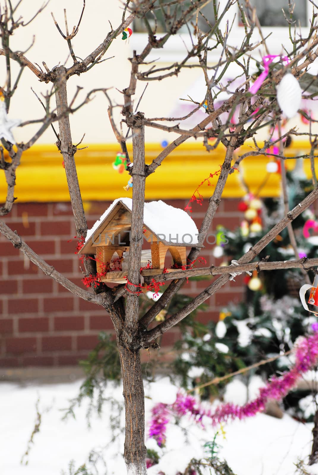 wooden birds house on winter tree outdoors at christmas