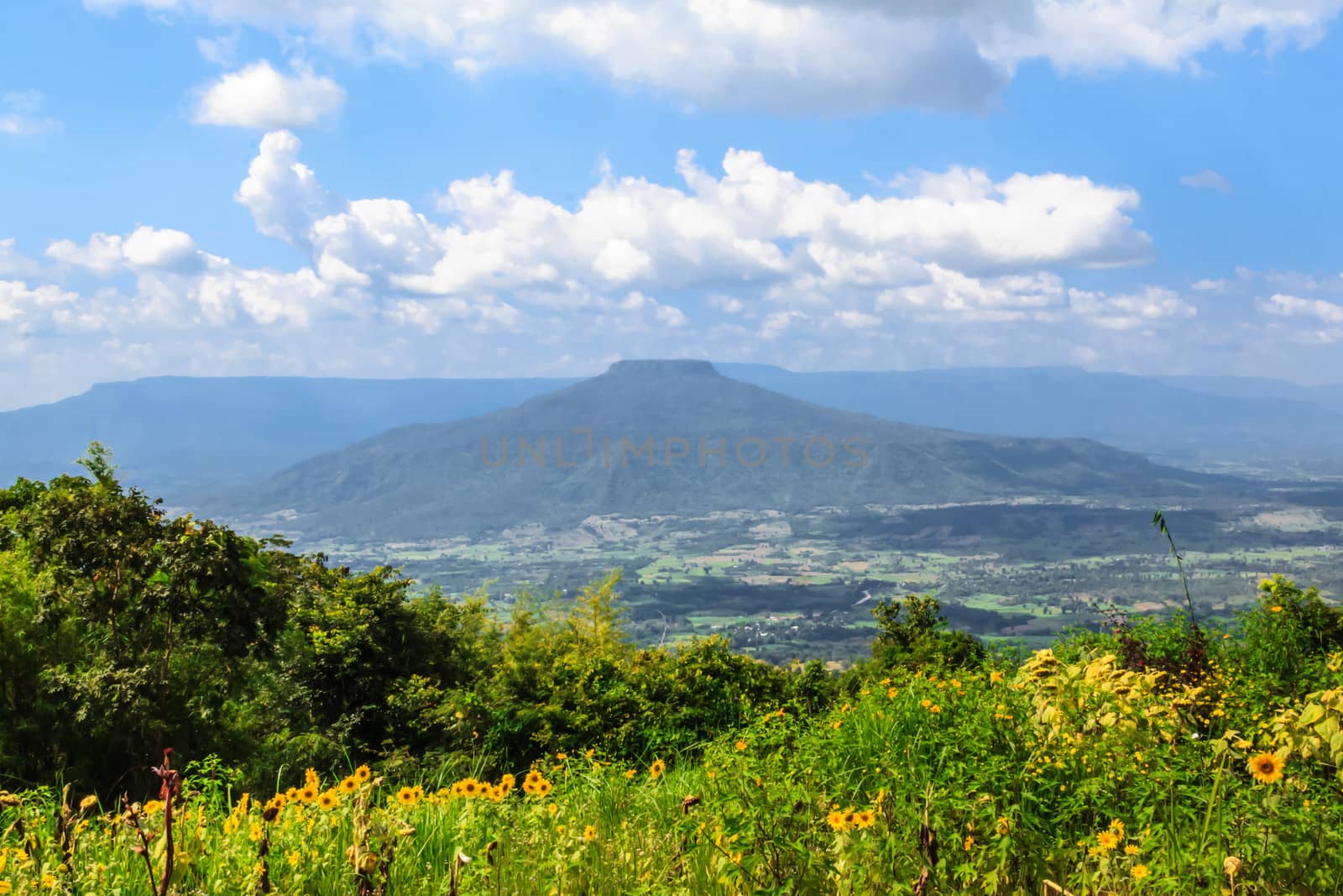 View of a beautiful summer landscape in Loei,Thailand