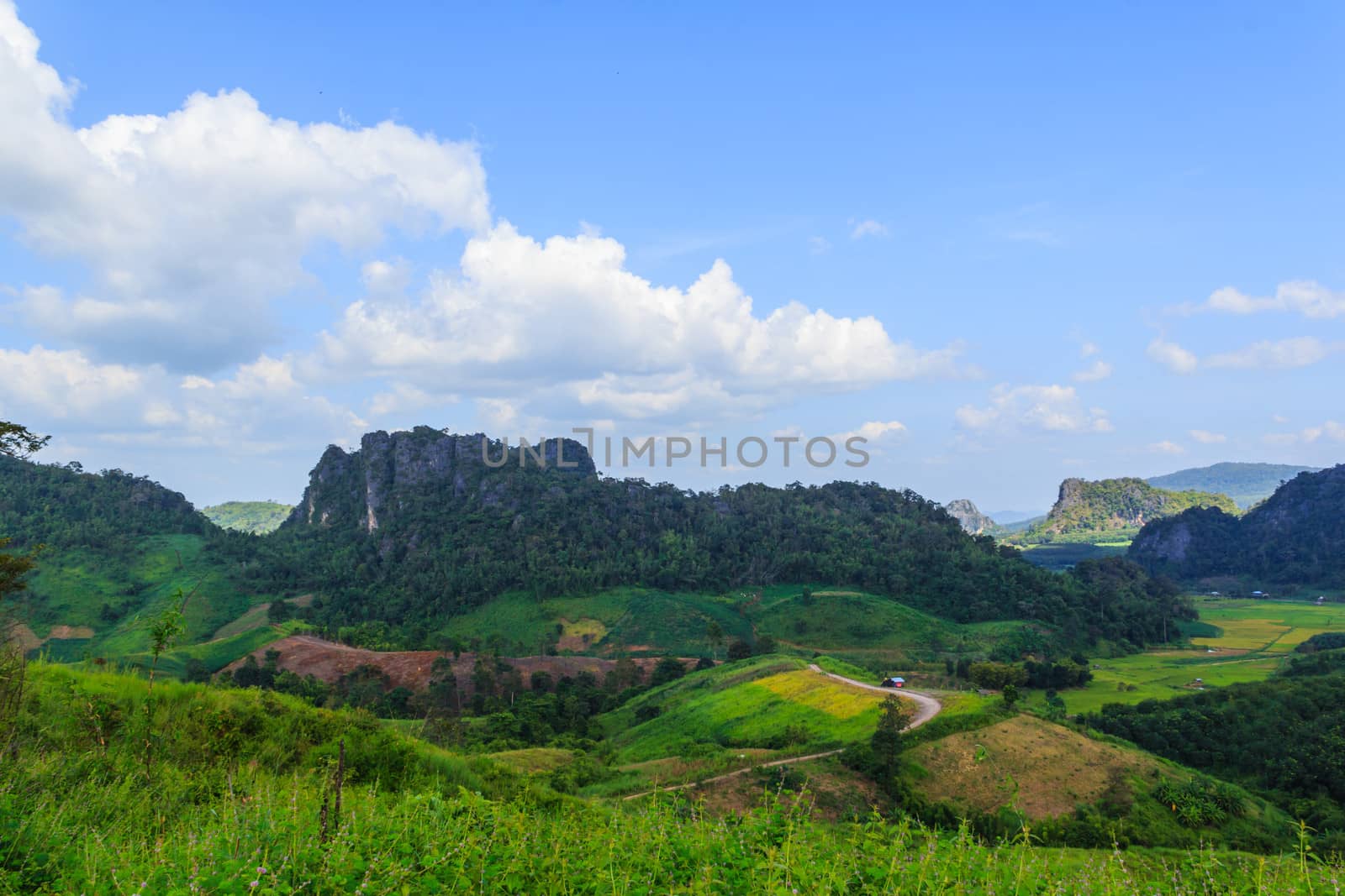 View of a beautiful summer landscape in Loei,Thailand