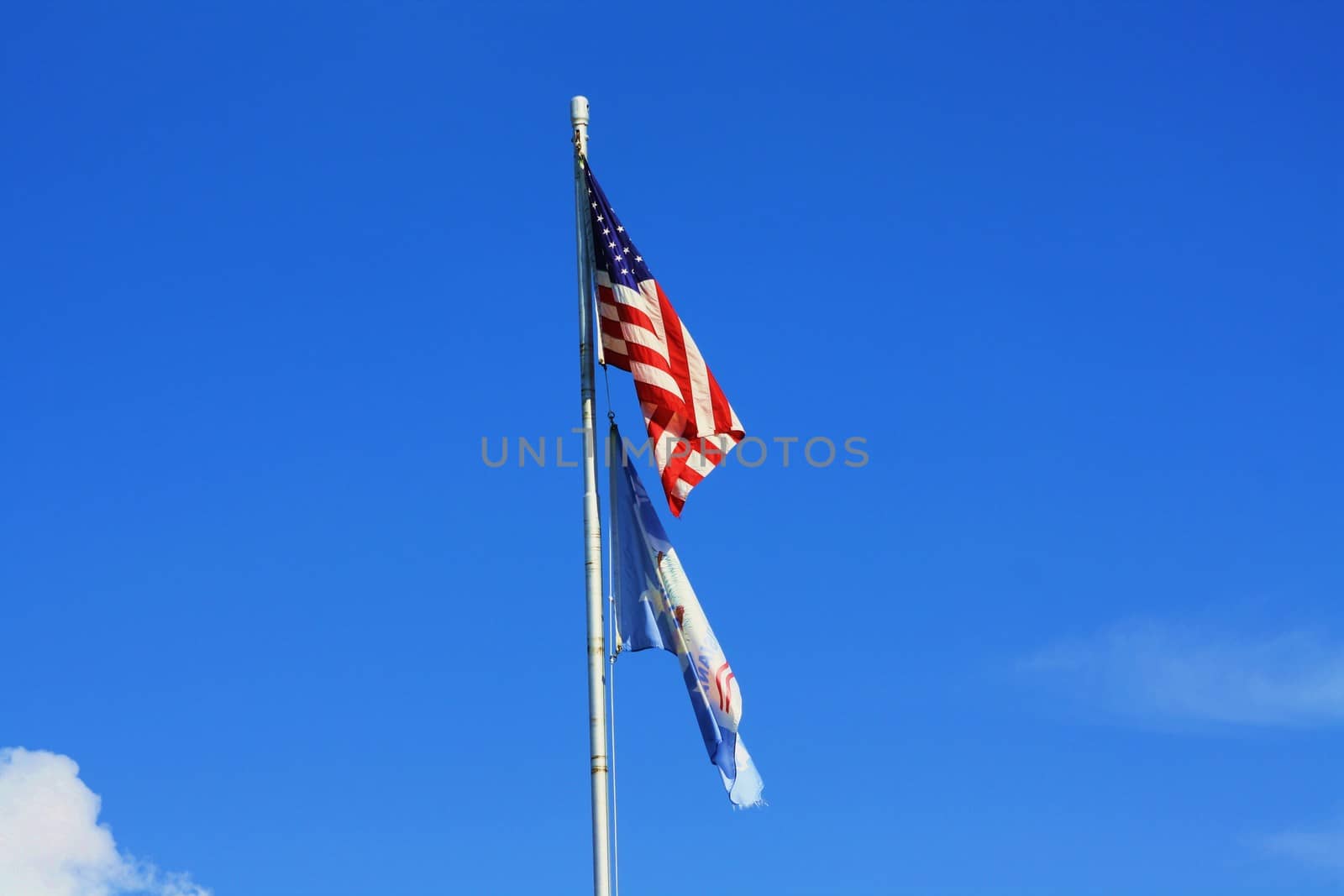 American and Pineville, Louisiana flags
