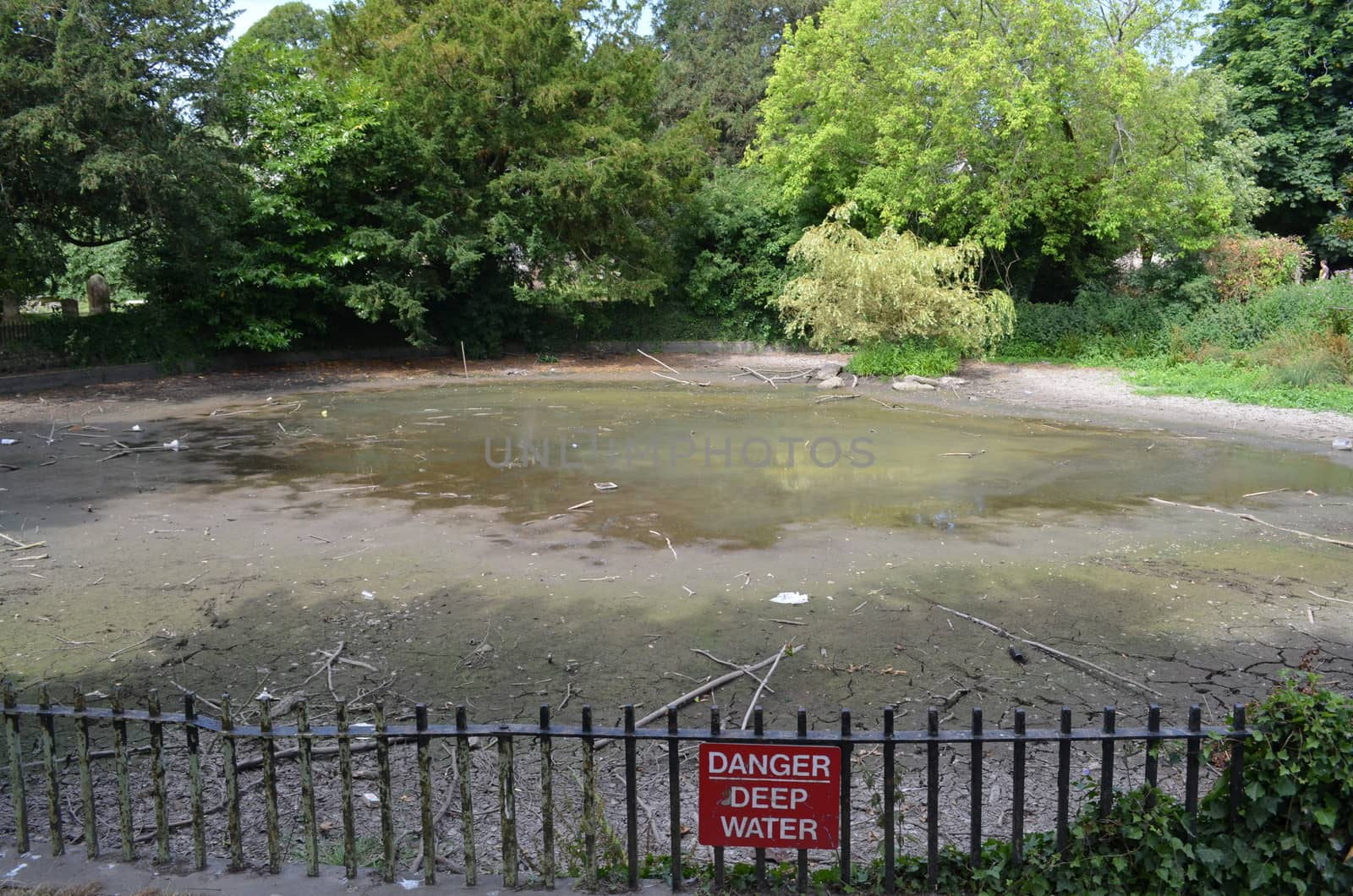 A pond in Southern England about to dry up in the hot Summer of 2013.