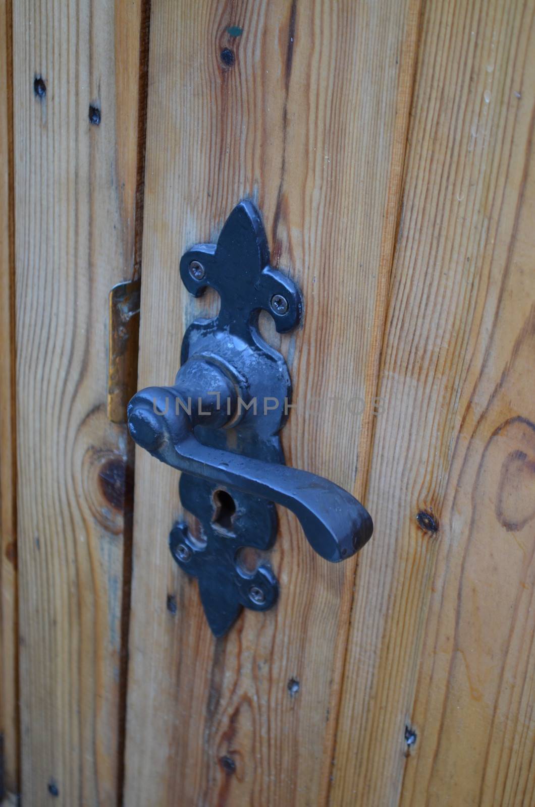 Ornate cast iron door handle on garden shed.