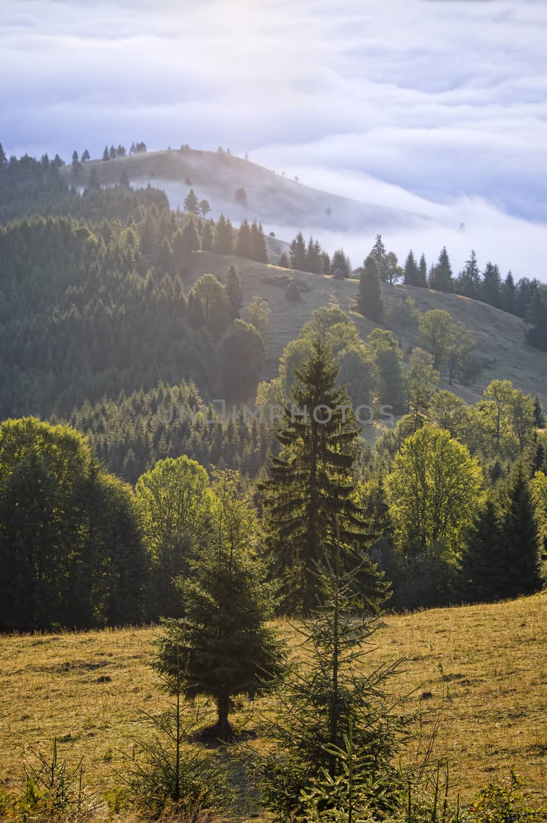 Carpathian mountain landscape in Romania