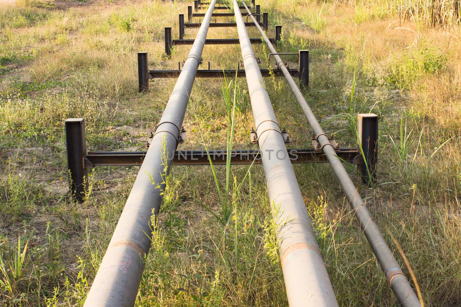 Oil  pipe line by photo2life