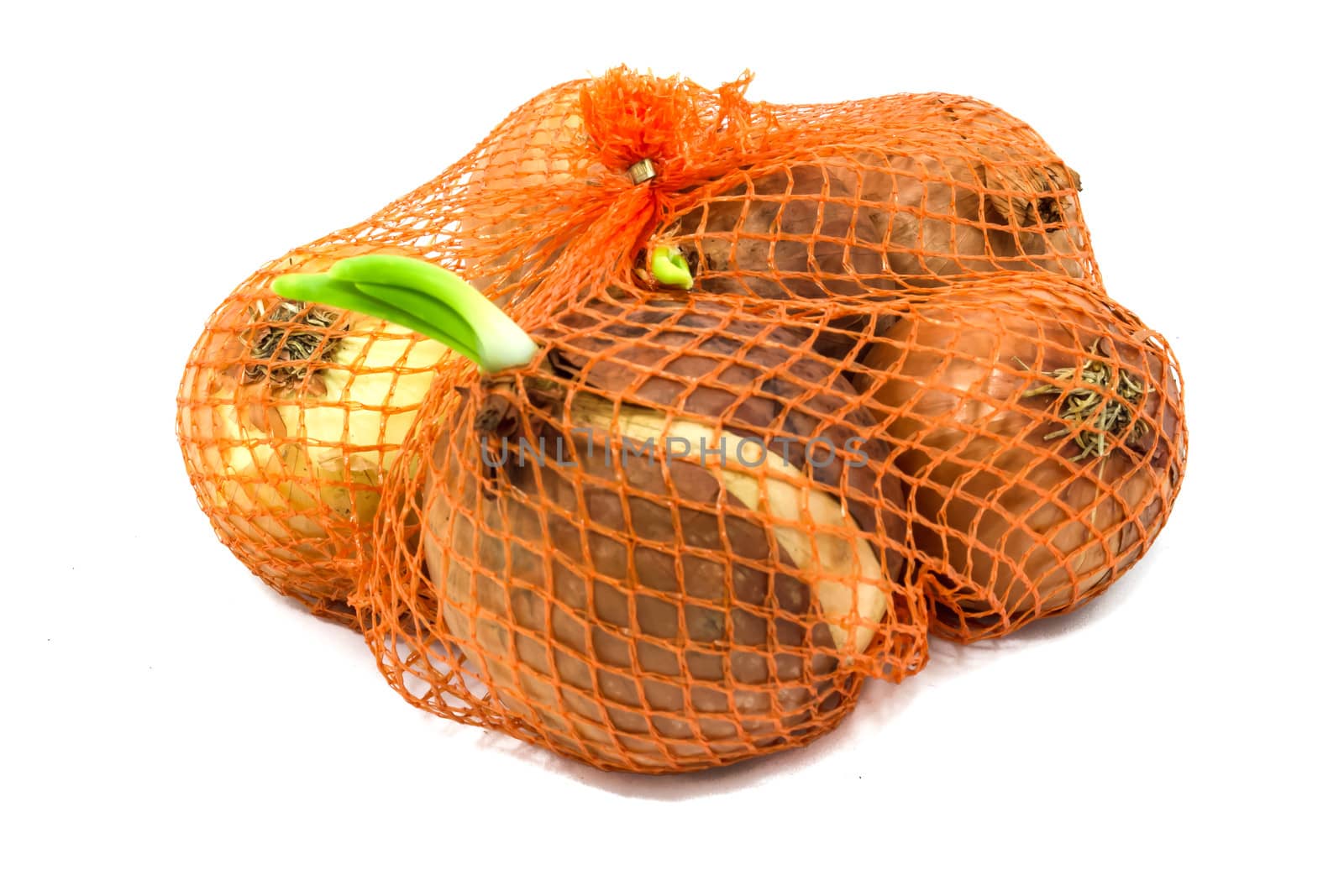 Fresh onion isolated on white, clipping path included to remove object shadow or replace background.